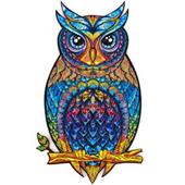 Charming Owl (RS)